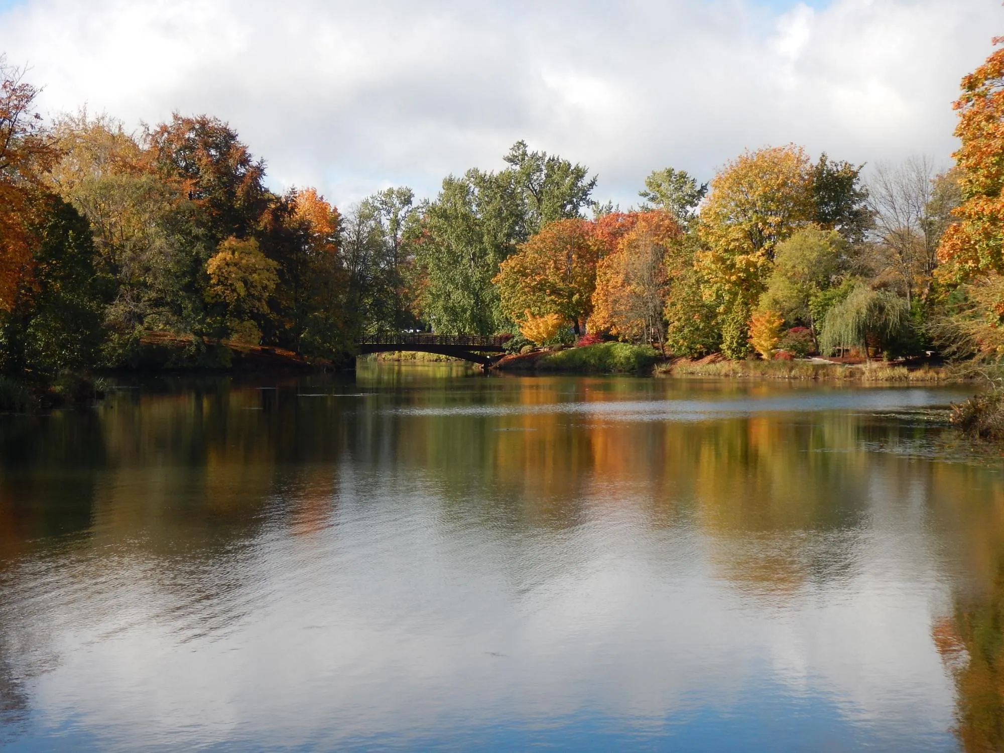 Autumn trees reflected in Lake Sacajawea