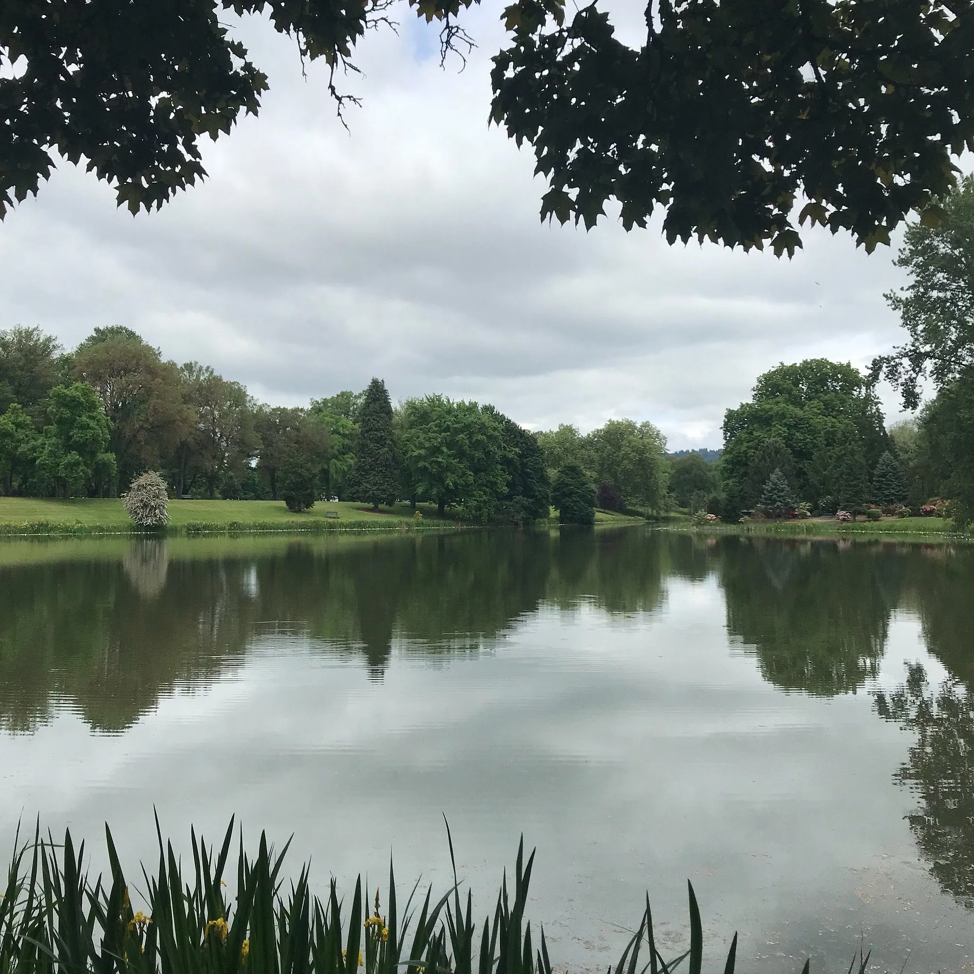 Sunlight reflecting off Lake Sacajawea with lush green trees lining the shore